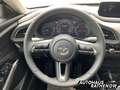 Mazda CX-30 Homura RED & BLACK 2.0 SKYACTIV-X-M Hybrid Navi LE Rouge - thumbnail 16