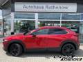 Mazda CX-30 Homura RED & BLACK 2.0 SKYACTIV-X-M Hybrid Navi LE Rouge - thumbnail 1