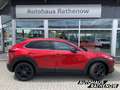 Mazda CX-30 Homura RED & BLACK 2.0 SKYACTIV-X-M Hybrid Navi LE Rouge - thumbnail 4