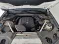 BMW X3 xDrive20d 48V Luxury Bianco - thumbnail 15