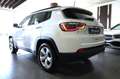Jeep Compass Compass 1.6 mjt Longitude 2wd 120cv my20 Wit - thumbnail 6