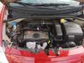 Citroen C3 1.1i Satisfaction Burdeos - thumbnail 13