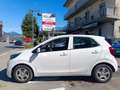 Kia Picanto Picanto 1.0 Active GARANZIA 12 MESI Bianco - thumbnail 8