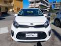 Kia Picanto Picanto 1.0 Active GARANZIA 12 MESI Bianco - thumbnail 2