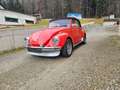 Volkswagen Käfer 1302 ls Original Cabrio Rot - thumbnail 4