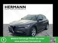 Alfa Romeo Stelvio 2.2 JTDM Business AHK*CAM*LED*SHZ*TWA*LM Grau - thumbnail 1