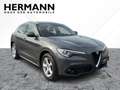 Alfa Romeo Stelvio 2.2 JTDM Business AHK*CAM*LED*SHZ*TWA*LM Gri - thumbnail 6