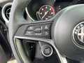 Alfa Romeo Stelvio 2.2 JTDM Business AHK*CAM*LED*SHZ*TWA*LM Grau - thumbnail 17