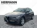Alfa Romeo Stelvio 2.2 JTDM Business AHK*CAM*LED*SHZ*TWA*LM Grau - thumbnail 1