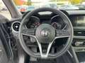 Alfa Romeo Stelvio 2.2 JTDM Business AHK*CAM*LED*SHZ*TWA*LM Grau - thumbnail 10