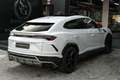 Lamborghini Urus 4.0 V8 Aut. Biały - thumbnail 8