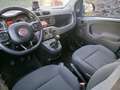 Fiat Panda 1.0 firefly hybrid City Cross a € 189 mese Bleu - thumbnail 12