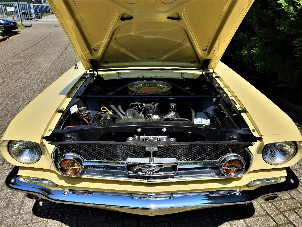 Ford Mustang 1964 Cabriolet V8 289 automaat, foto 10