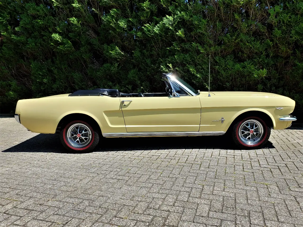 Ford Mustang 1964 Cabriolet V8 289 automaat, foto 6