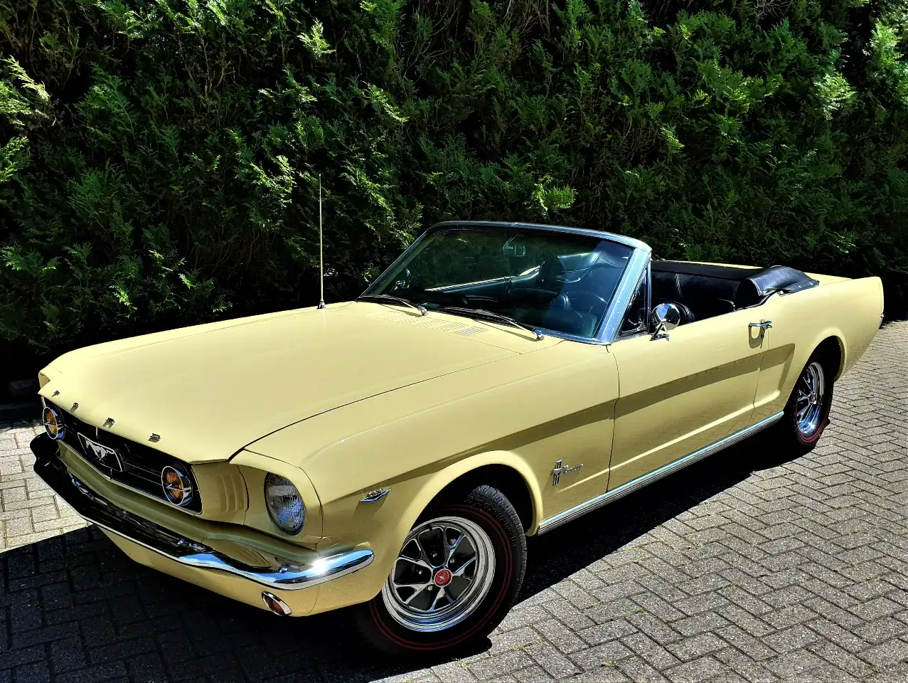 Ford Mustang 1964 Cabriolet V8 289 automaat, foto 2