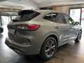 Ford Kuga Kuga III 2020 1.5 ecoblue ST-Line 2wd 120cv auto Grau - thumbnail 5
