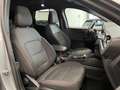 Ford Kuga Kuga III 2020 1.5 ecoblue ST-Line 2wd 120cv auto Grau - thumbnail 14