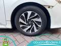 Honda Civic 1.0T 5 porte Comfort UNICO PROP.TAGLIANDATA Blanc - thumbnail 22