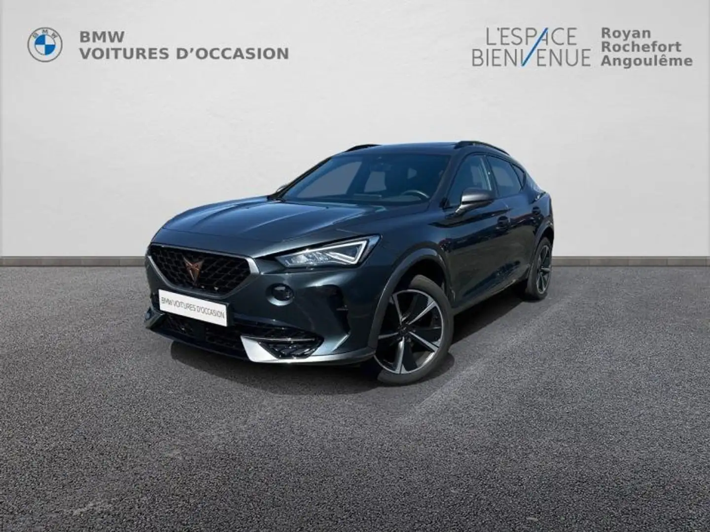 CUPRA Formentor 2.0 TDI 150ch V DSG7 4Drive Gris - 1