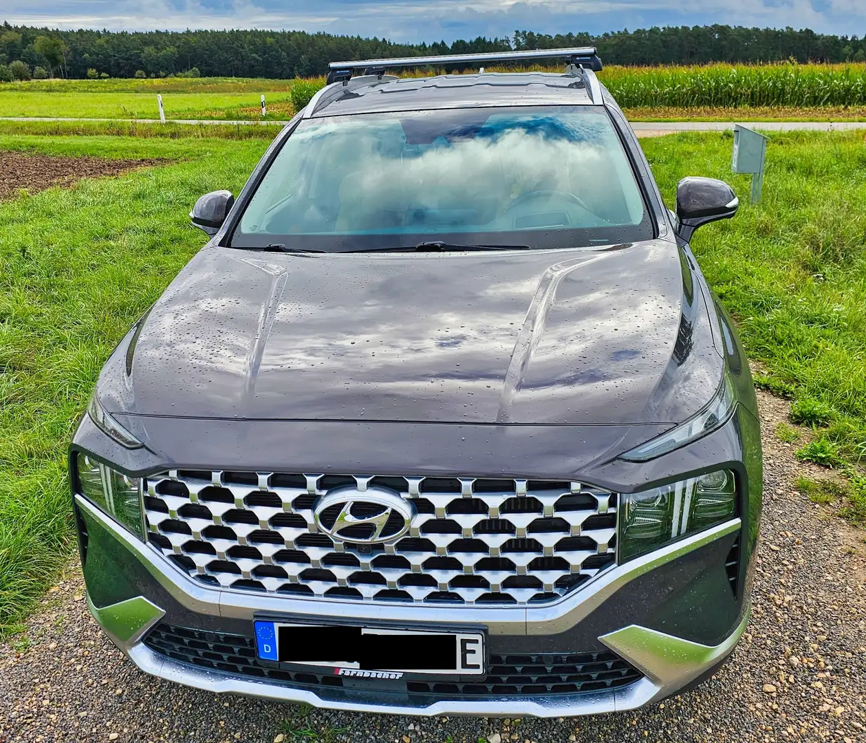 Hyundai SANTA FE SANTA FE 1.6 Plugin-Hybrid 4WD Braun - 2