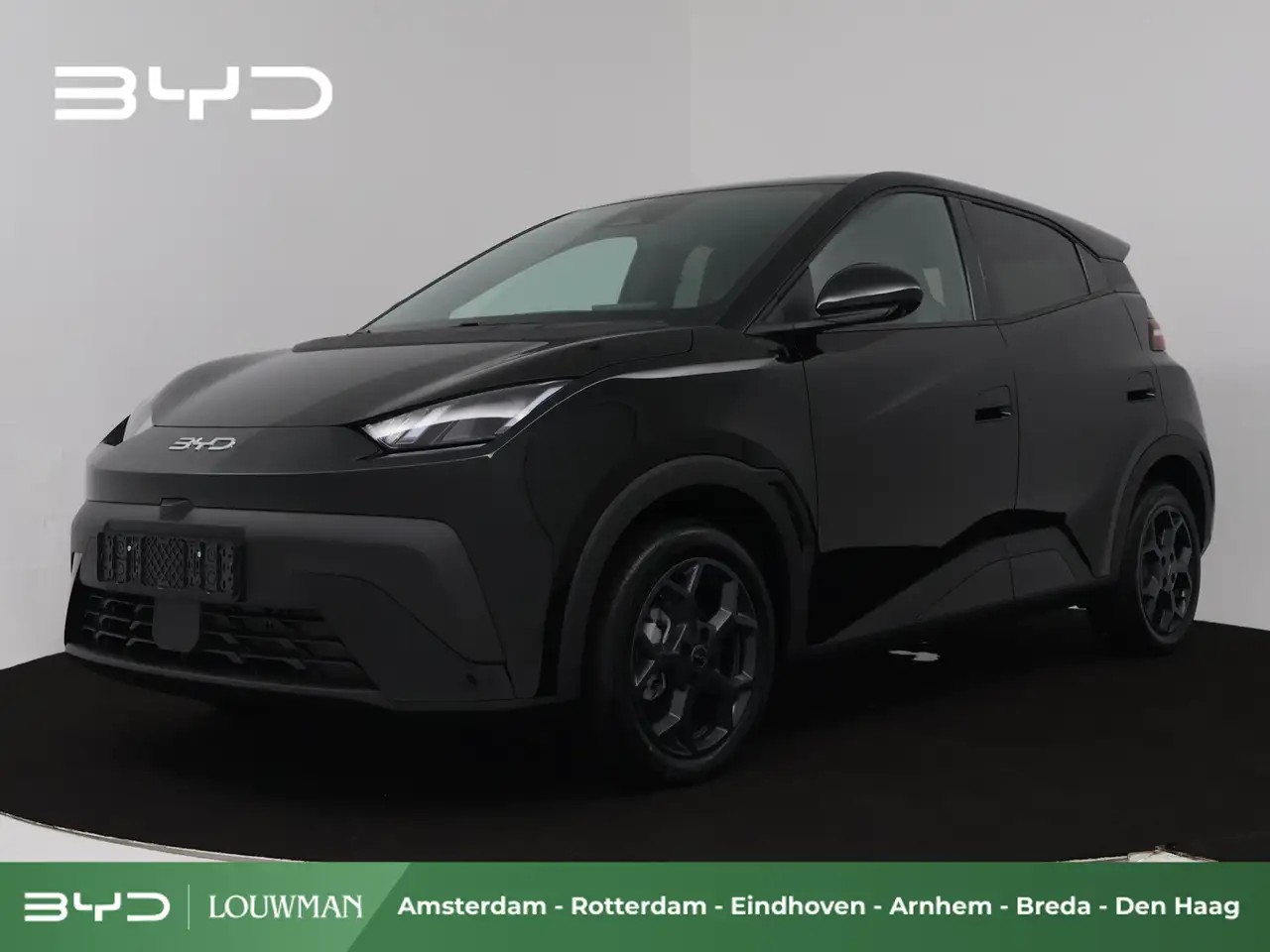 BYD Dolphin Surf 2026
