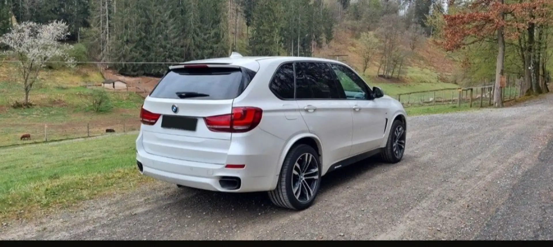 BMW X5 M M50d Sport-Aut. - 2