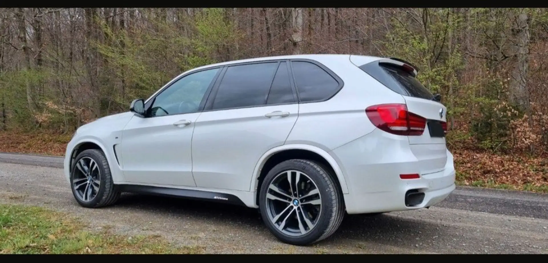 BMW X5 M M50d Sport-Aut. - 1
