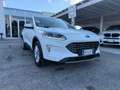 Ford Kuga 1.5 EcoBlue 120 CV aut. 2WD Tit.Bus Blanc - thumbnail 4