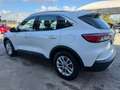 Ford Kuga 1.5 EcoBlue 120 CV aut. 2WD Tit.Bus Blanc - thumbnail 2