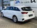Kia Ceed SW / cee'd SW 1.5T DCT VISION | KOMFORT+ Weiß - thumbnail 5