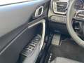Kia Ceed SW / cee'd SW 1.5T DCT VISION | KOMFORT+ Weiß - thumbnail 14