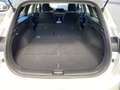 Kia Ceed SW / cee'd SW 1.5T DCT VISION | KOMFORT+ Weiß - thumbnail 13