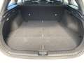 Kia Ceed SW / cee'd SW 1.5T DCT VISION | KOMFORT+ Weiß - thumbnail 12