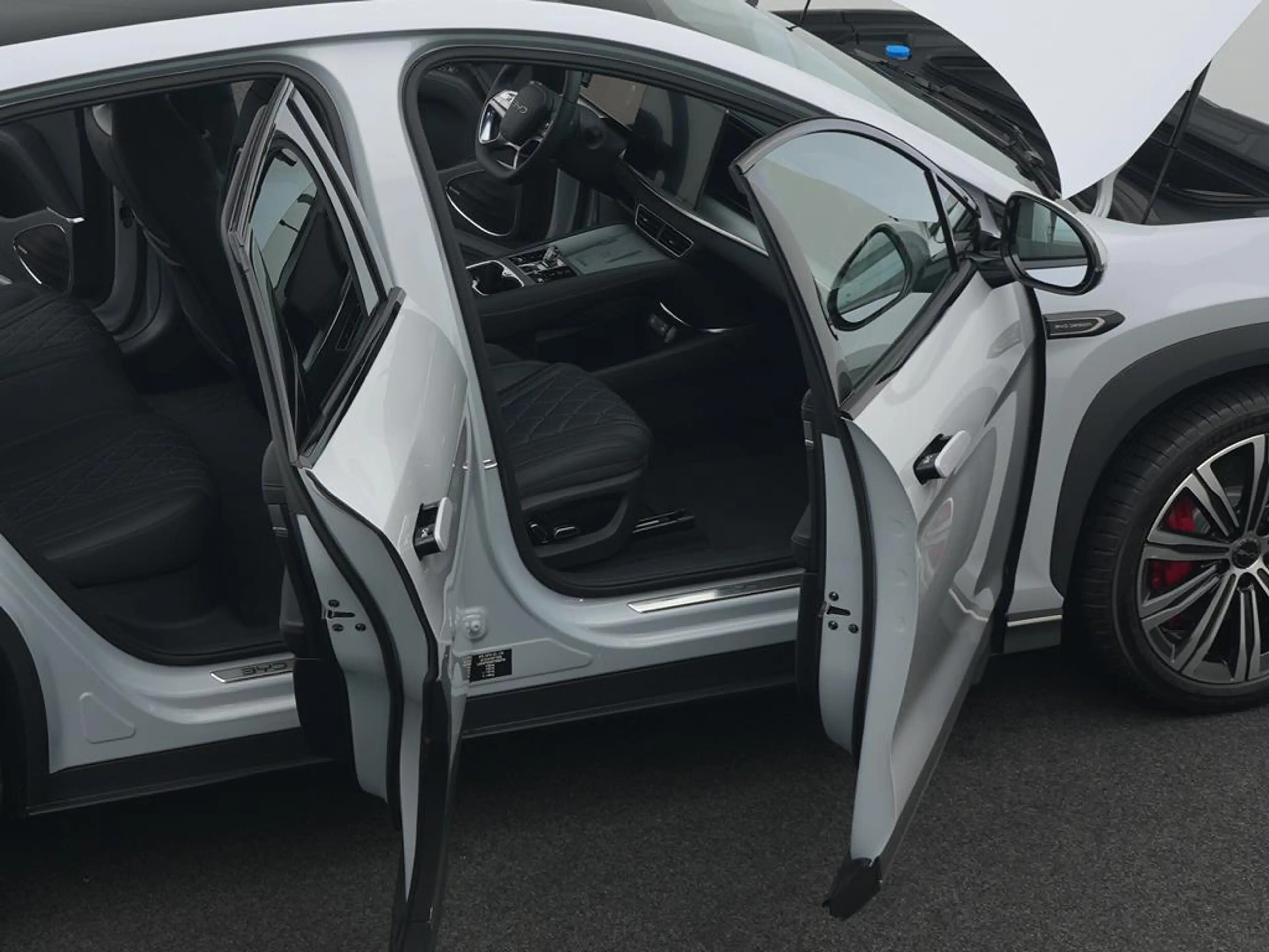 BYD Sealion 7 Excellence AWD — photo 13