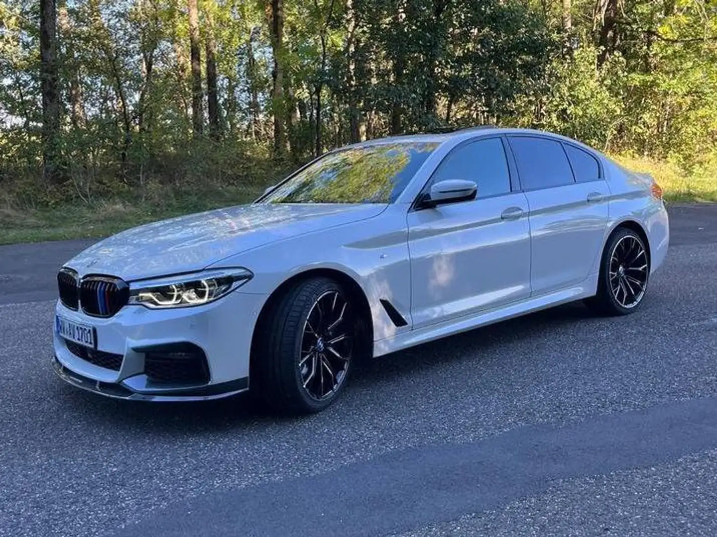 BMW 530 530 xd - 1