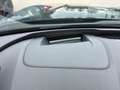 CUPRA Terramar 1.5 e-TSI 150 PS DSG Blau - thumbnail 14