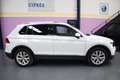 Volkswagen Tiguan 2.0TDI Sport 4Motion DSG 110kW Blanco - thumbnail 5