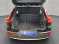 Volvo XC40 XC40 T3 Momentum LED Kamera PDCv+h Winter-Paket Schwarz - thumbnail 4