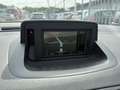 Renault Megane Estate 1.5 dCi Bose | Pano | Clima | Navi Zwart - thumbnail 18