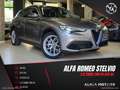 Alfa Romeo Stelvio 2.0 Turbo 280CV AT8 Q4 Grijs - thumbnail 1