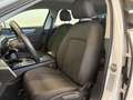 Audi A6 35 2.0 TDI S line*MATRIX*VIRTUAL*B&O*PDC* Weiß - thumbnail 20