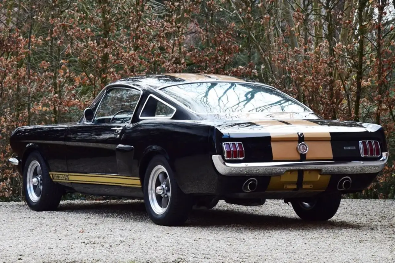 Ford Mustang GT350H, foto 3