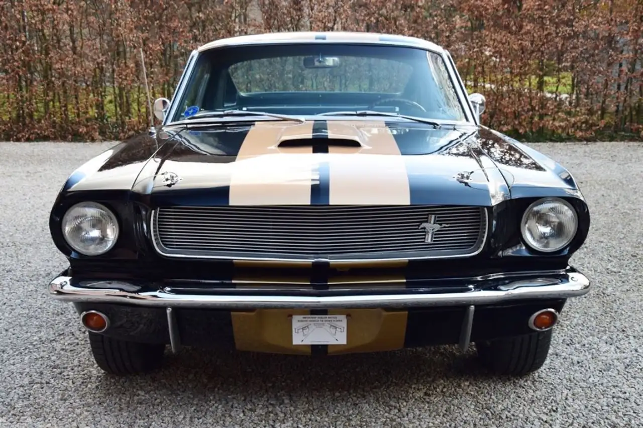 Ford Mustang GT350H, foto 5