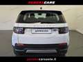 Land Rover Discovery Sport Discovery Sport 2.0 TD4 163 CV AWD Auto S Bianco - thumbnail 3