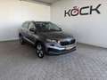 Skoda Karoq Selection Grau - thumbnail 1
