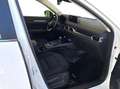 Mazda CX-5 2.2L Skyactiv-D 150 CV Automatica 2WD Advantage Weiß - thumbnail 6