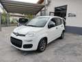 Fiat Panda 1.0 hybrid Easy s Blanc - thumbnail 1