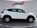 Hyundai TUCSON 1,6 GDi RUN Weiß - thumbnail 5