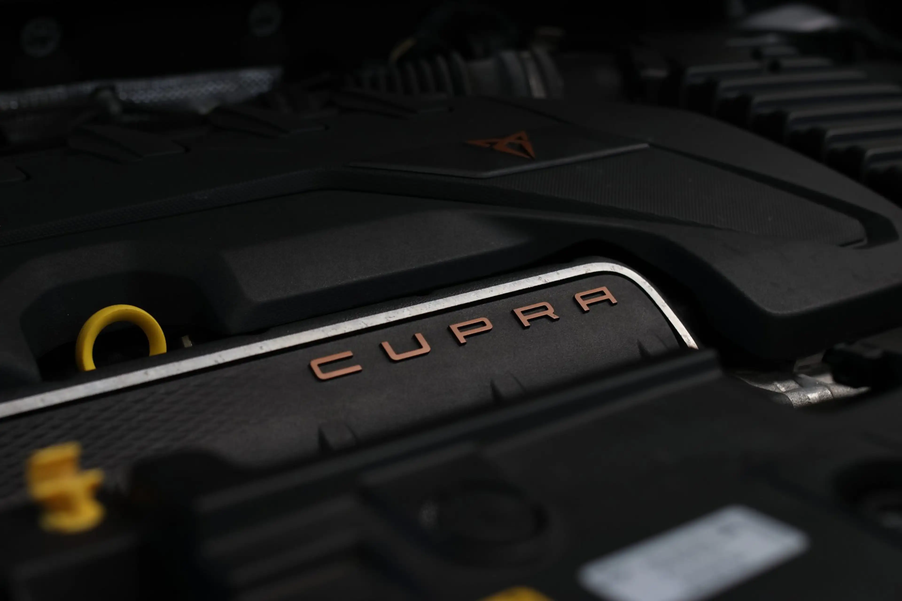 CUPRA Formentor VZ5 2.5 TSI *Schaalstoelen*Carbon*360 Camera*Beats*Uni — photo 12