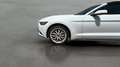 Ford Mustang Convertible 2.3 EcoBoost Aut. Blanco - thumbnail 16